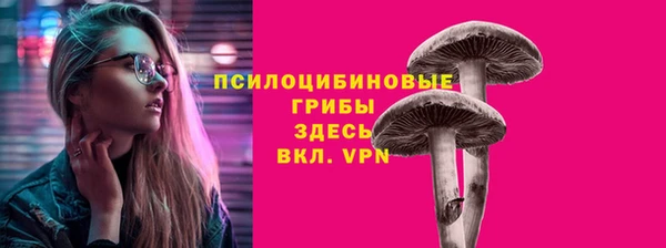 стафф Навашино