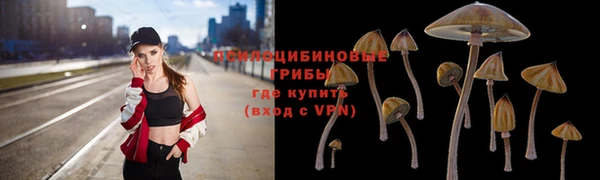 таблы Аша