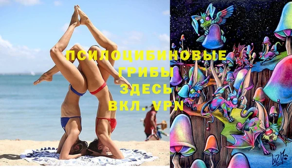 ALPHA PVP Нефтекумск