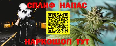 МДПВ Беслан