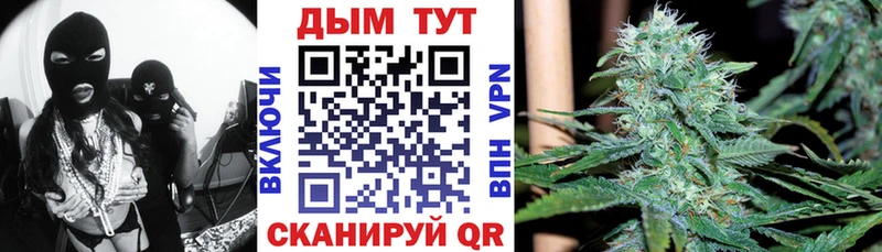 дарк нет официальный сайт  Клин  Бошки Шишки марихуана 